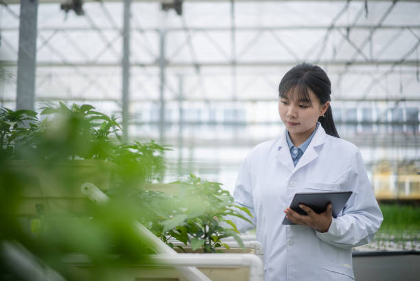 istock female botanist  working with digital tablet in vegetable greenhouse 2156284571