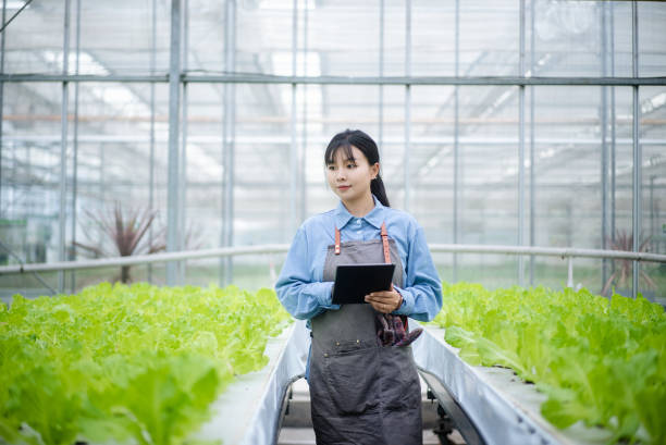 istock asian female using digital tablet in vegetable greenhouse 2156284616