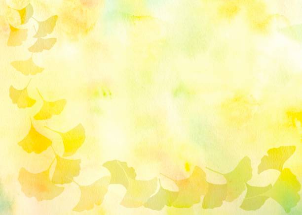 istock A beautiful autumn frame with falling golden ginkgo leaves. 2156287649