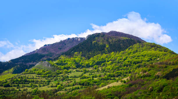 istock Grey rocky mountaintop with green trees in the foreground 2156294484