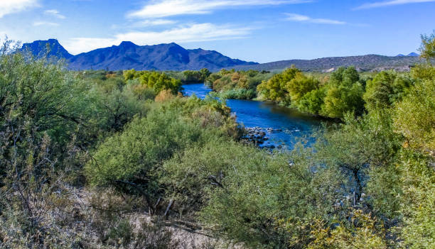 istock A mountain river flows in a valley covered with bushes and trees 2156295018