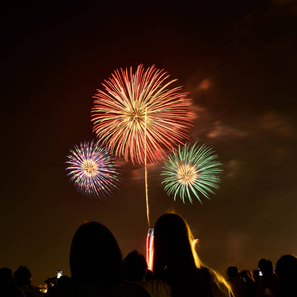 istock Fireworks, a summer tradition in Japan 2156296975