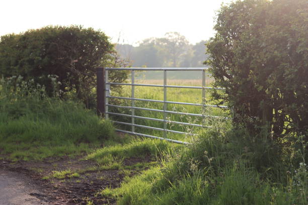 istock Morning sunlight shining through a countryside field gate 2156298073