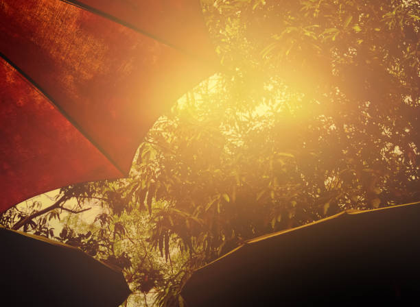 Stock photo showing an open parasol used for protection from the sun that can be seen outlined through its brown material.