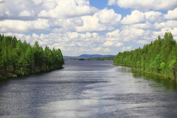 River flanked by lush green forests under a sky filled with white clouds and distant mountains in northern Sweden