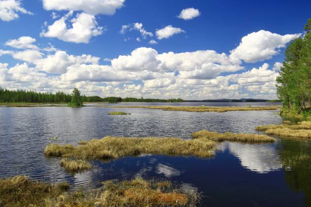 istock Lake and clouds reflecting on tranquil water with forested shoreline and marsh in northern Sweden 2156300334
