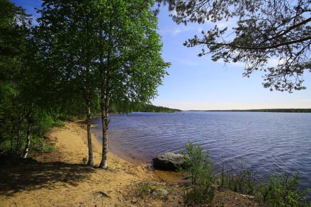 istock Lake shoreline with sandy beach and trees under a clear blue sky in Sweden 2156300359