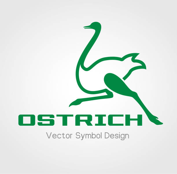 Ostrich Racing Engine Vector 450+ Ostrich Run Stock Illustrations, Royalty-Free Vector Graphics ...