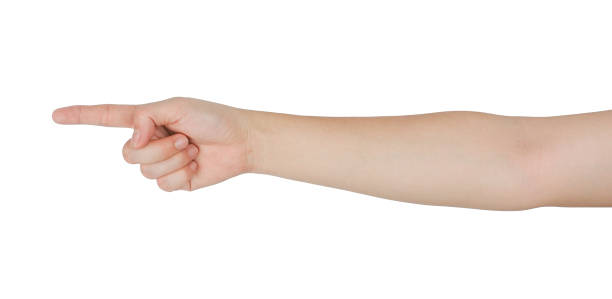 istock hand pointing, hand showing something on white background 2156310427