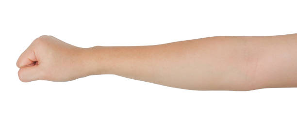 istock Hand fist, fist bump gesture on white background, side view 2156310450