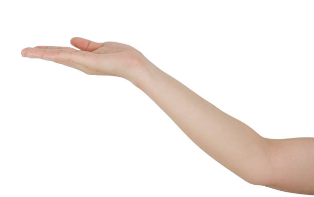 istock Hand open palm holding gesture, hand holding empty space mockup on white background 2156310484