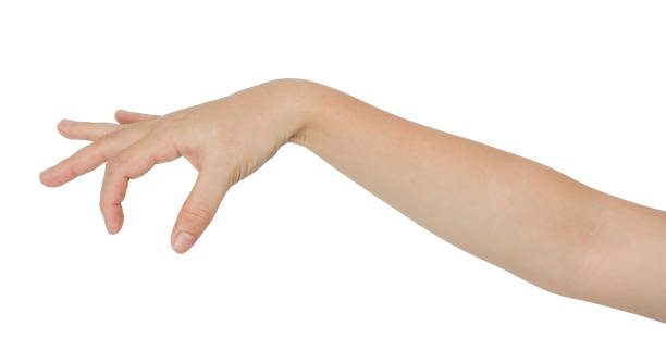 istock Hand gesture grab sign, hand grab empty space gesture on white background 2156310602