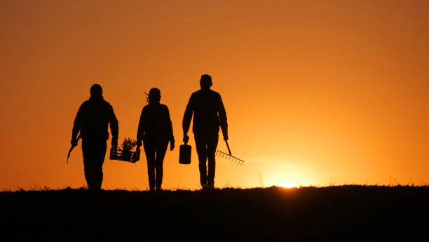 istock Three farmers, accompanied by their equipment, stroll through a field as the sun sets. 2156313284