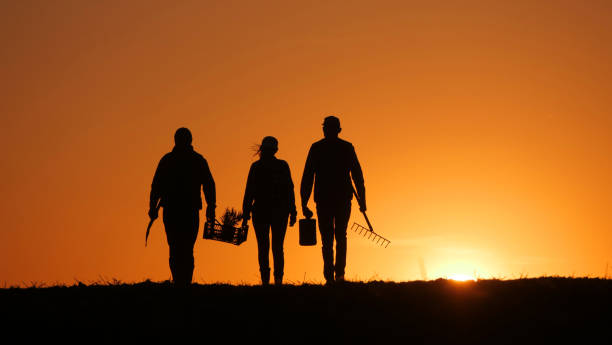 istock Three farmers with equipment walk through a field at sunset 2156313561