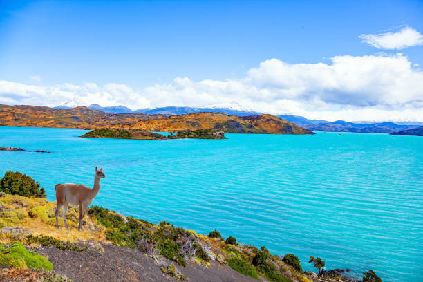 istock The water from melting glaciers 2156316861