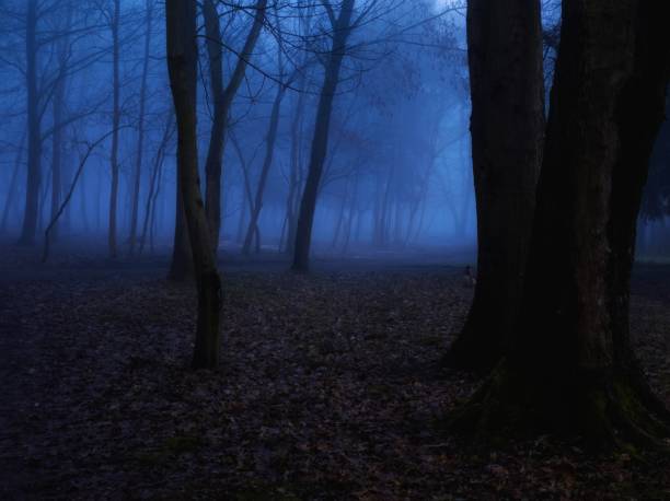istock Scary forest in blue tones. Mysterious night woods. 2156316902