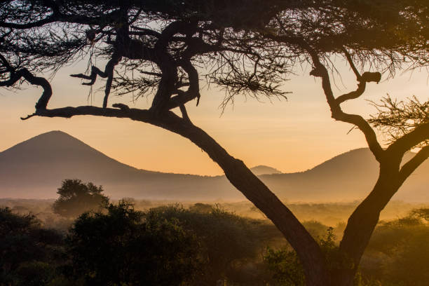 istock Sunrise in Tsavo west 2156318227
