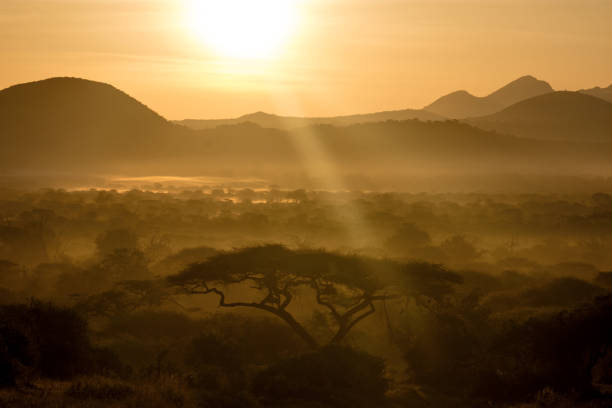 Sunrise in Tsavo National park