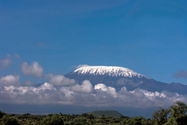 Mount Kilimanjaro summit seen from the bottom. Wildlife safari in Africa, African savannah desert with mountain Kilimanjaro on the background. Snow and glacier on top of Kilimanjaro, Mount Kili