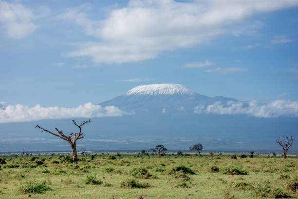 Panoramic view of Kilimanjaro