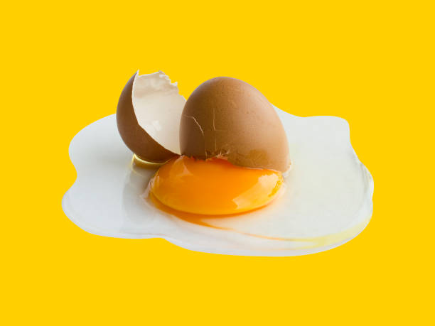 istock organic egg broken.cooking food ingredient. 2156319687