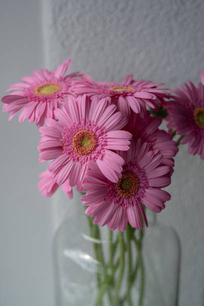 istock flowers in vase by the window 2156319726