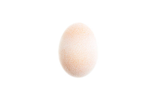 Chicken egg isolated on white background, Raw food, Food ingredient