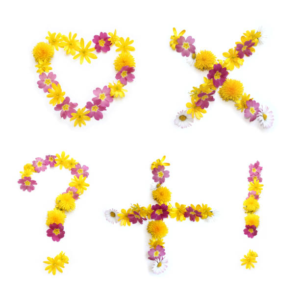 yellow pink flowers flower heart, question exclamation multiplication mark, math sign freshly picked in spring