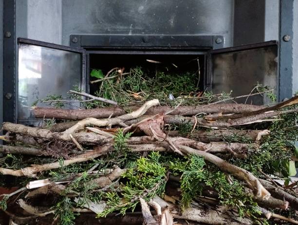 FIREWOOD FOR BURNING IN A HOME FIREPLACE