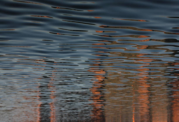 reflection in the water at sunset
