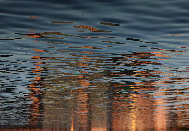 reflection in the water at sunset