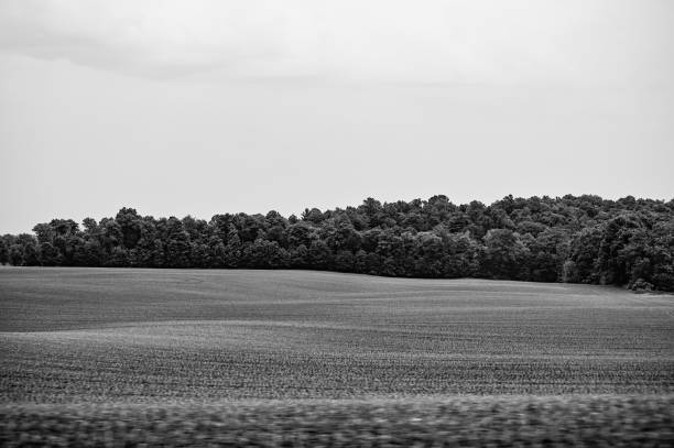 istock Stunning b&w landscape photograph 2156329404