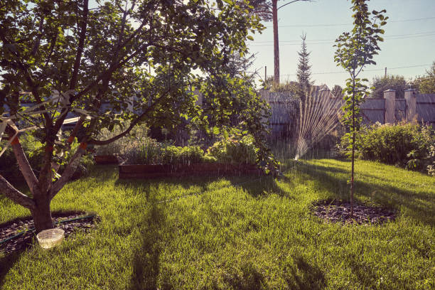 istock Irrigation system for watering the garden plot. Water saving or water saving due to a sprinkler system with adjustable pressure. 2156333740