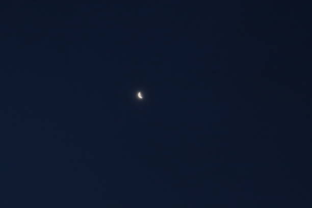 Dark night with the bright moon illuminating the sky