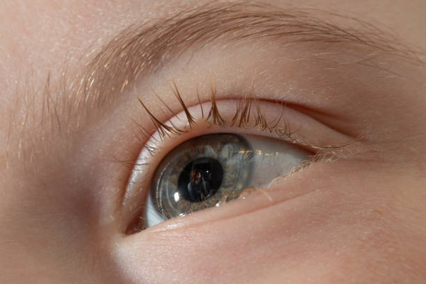 Side view of woman eye with long eyelashes - focus on eyelashes