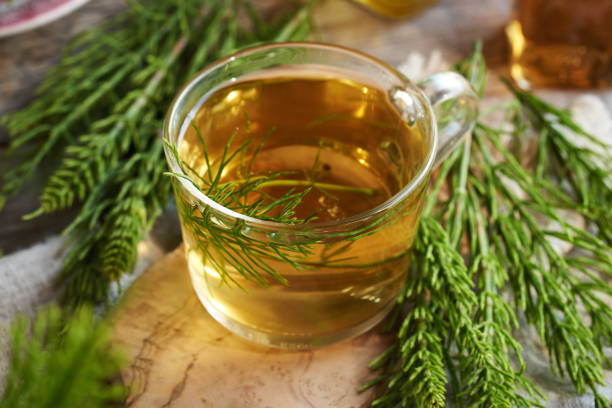 istock A cup of herbal tea with fresh horsetail plant 2156346699