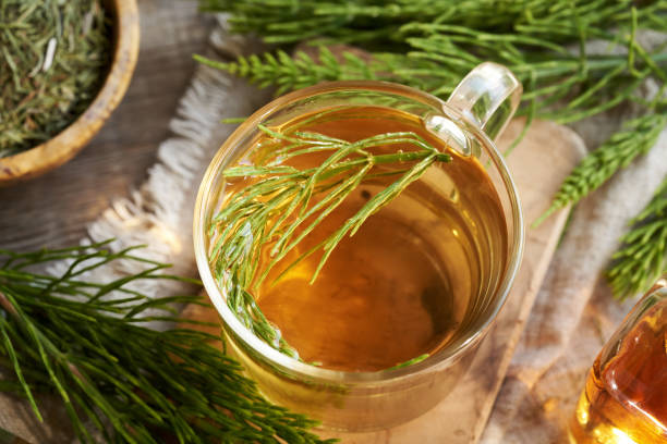 istock Horsetail tea in a glass cup 2156346908