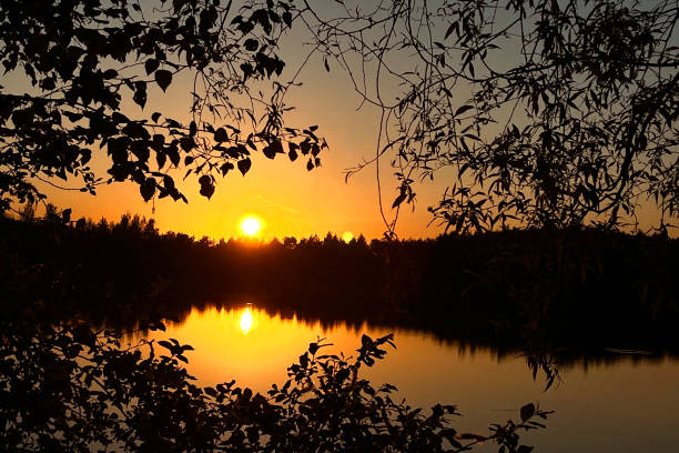 sunset at lake with sun down over tree silhouettes on horizon