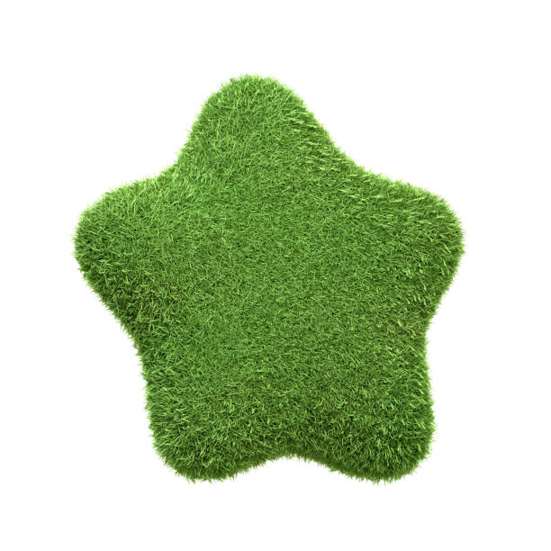 A star-shaped icon made entirely of green grass isolated on a white background, representing excellence and high quality in eco-friendly and sustainable practices. 3D render illustration