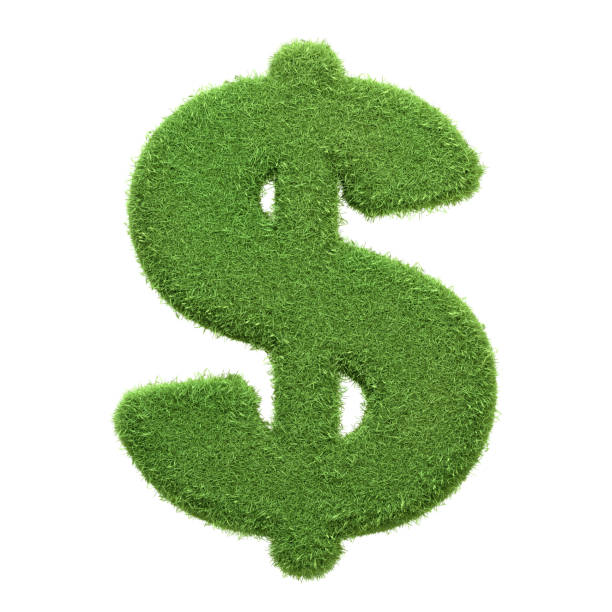 istock Green grass textured dollar sign isolated on a white background, representing eco-friendly finance or sustainable economy, isolated on white 2156348020