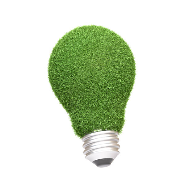 istock A light bulb covered in green grass isolated on a white background, symbolizing innovative green energy solutions and sustainable environmental ideas 2156348060