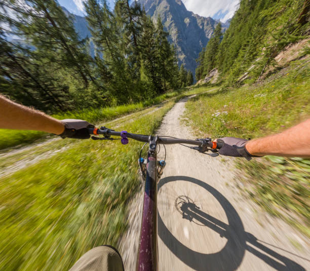 istock Mountain Biking Adventure on Scenic Forest Trail 2156351747