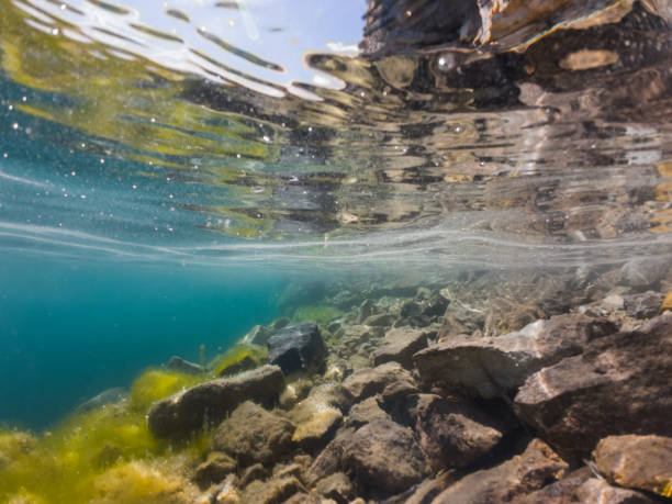 istock Underwater photography, clear water at the rumu quarry with rocky bottom. 2156352576