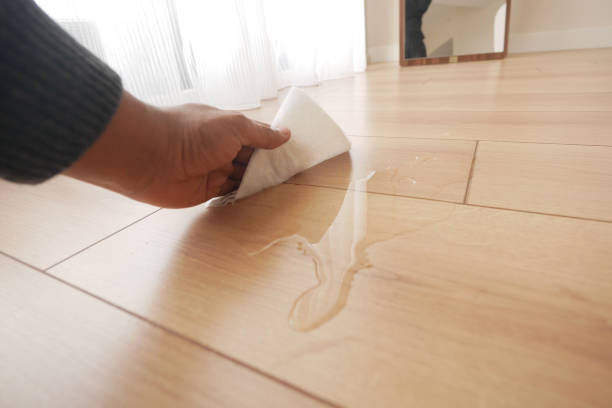 istock hand wiping spilled tea with paper napkin on floor , 2156353749