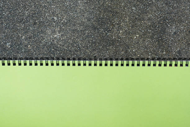 Overhead shot of opened blank spiral notebook with green leaves on light blue background.