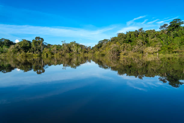 istock Beautiful landscape of Amazon rainforest trees reflected in river water on a sunny summer day. Concept of conservation, environment, ecology, nature, climate, biodiversity. Amazonas, Brazil. 2156355693