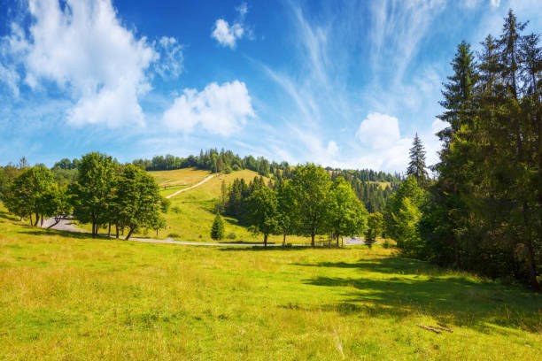 istock picturesque scenery with road through carpathian mountain valley 2156356080