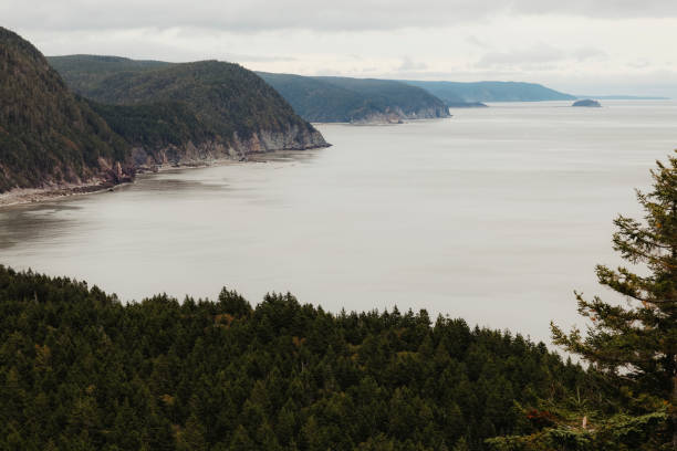 A scenic shot of a coast in New Brunswick.