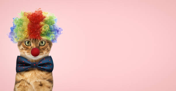 istock Funny red cat dressed in a festive suit and a clown hat 2156359121