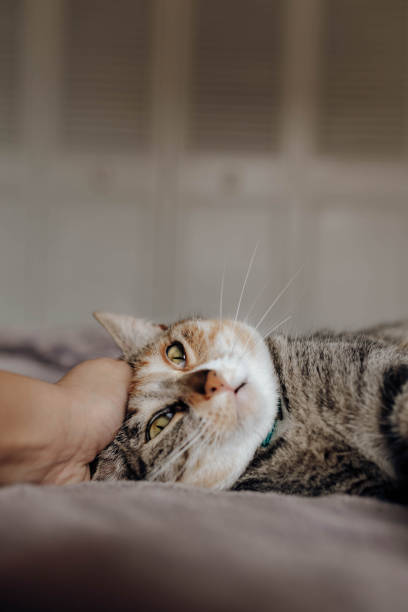 istock MR_ElenaGonzalezHontoria.jpg 2156363158